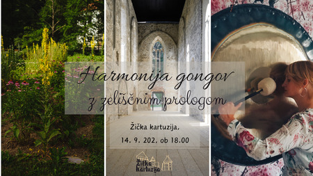 GONGI V ŽIČKI KARTUZIJI